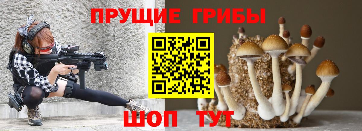 Шарыпово  Галлюциногенные грибы ЛСД  Галлюциногенные грибы Psilocybine cubensis  Вход с VPN 